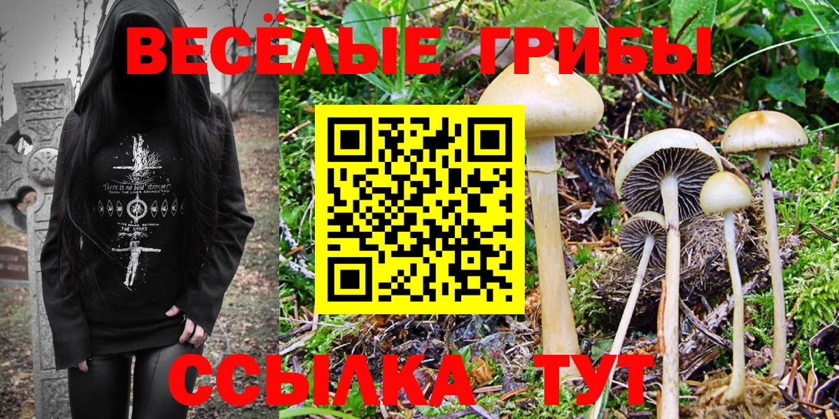 Псилоцибиновые грибы MAGIC MUSHROOMS Буйнакск