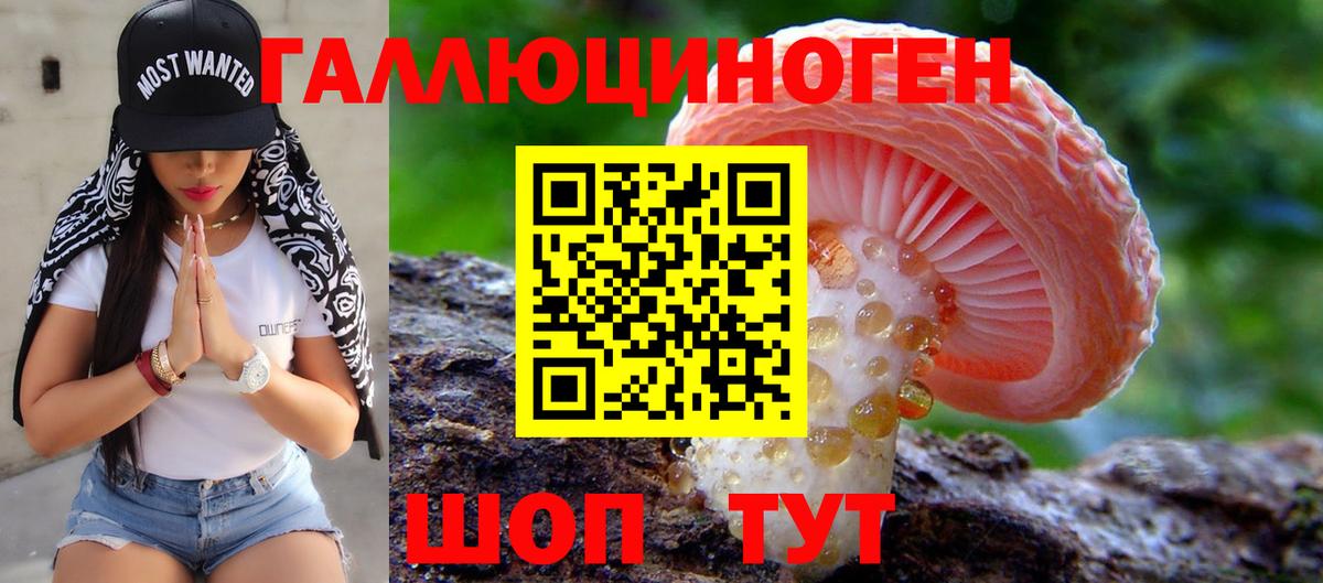 Буйнакск  Псилоцибиновые грибы Psilocybe  Вход с VPN  Галлюциногенные грибы ЛСД 